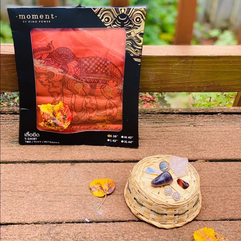 The Elephant of Thailand T Shirt